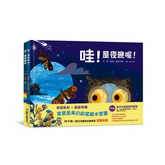 學習認知X美感培養:寶寶最美的啟蒙繪本套書 《哇!貓頭鷹說》、《哇!是夜晚呢!》